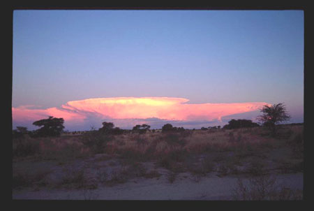 kalahari22