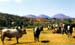 9_hautes_terres